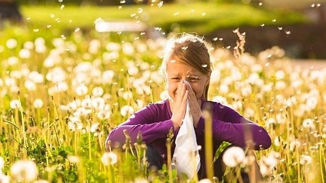 ¿Tienes alergia primaveral? Estos trucos te ayudarán a combatir sus síntomas