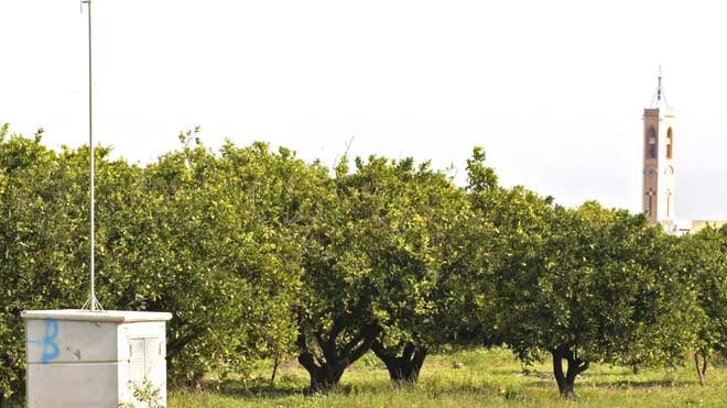 Los agricultores valencianos pagan la electricidad más cara de Europa