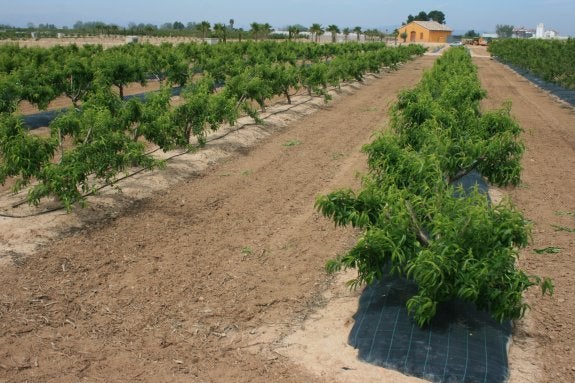 AVA presenta un centro experimental donde probar las novedades agrícolas