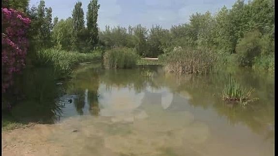 Un parque espectacular en Valencia que muchos vecinos de la ciudad no conocen