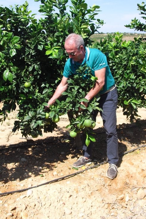 Agricultura quiere recuperar a decenas de técnicos jubilados