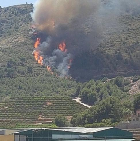 Estabilizado el incendio forestal de Faura