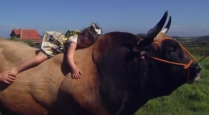 La amistad entre una niña de cuatro años y un toro de 1.800 kilos