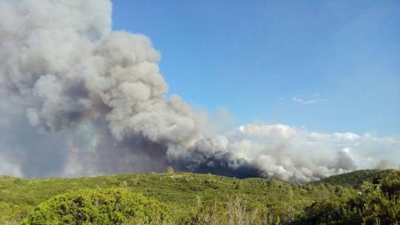 Declarado otro incendio forestal en Carcaixent