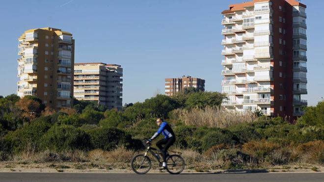 Los bomberos mojarán zonas de la pinada en El Saler los días de poniente