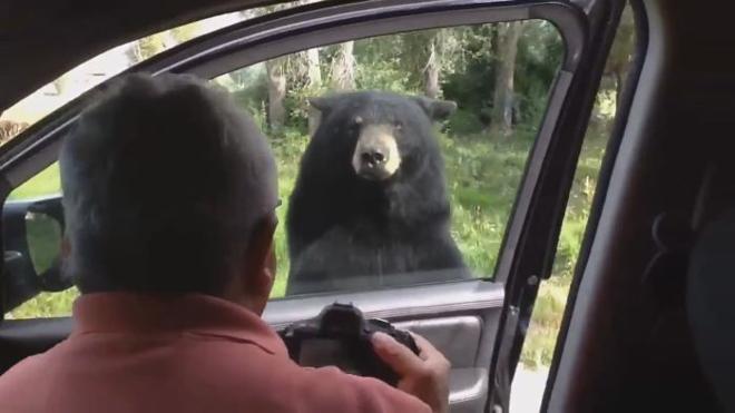 Una familia entra en pánico cuando un oso les abre la puerta del coche