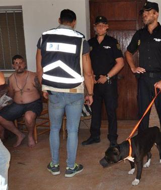 La Policia Nacional Detiene Al Dueno De Los Perros Que Atacaron A Dos Ciclistas En Denia Las Provincias