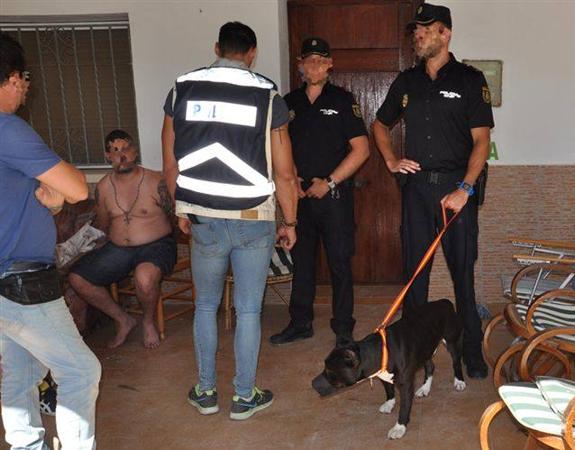 La Policía Nacional detiene al dueño de los perros que atacaron a dos ciclistas en Dénia