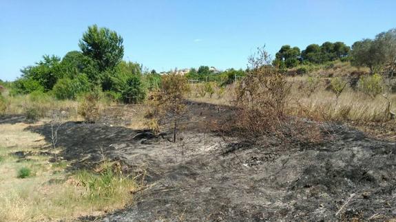 Provoca cinco incendios en Ribarroja y uno se queda a 100 metros de Masía de Traver