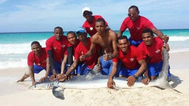 Socorristas y turistas matan un tiburón en República Dominicana para hacerse un selfie con él