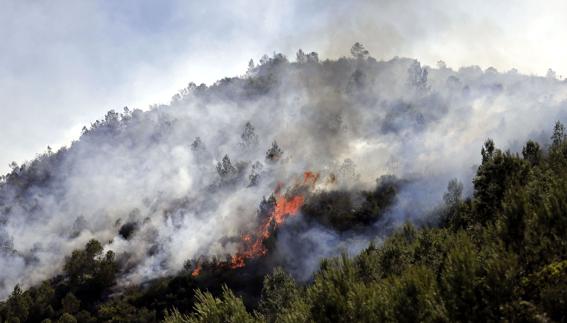 Podemos pedirá explicaciones al Consell por los incendios forestales