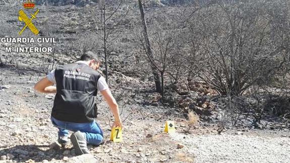 Detenidos tres agricultores por provocar el incendio de Carcaixent