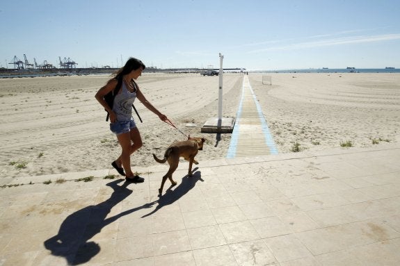 «No me parece correcto que quiten la bandera azul simplemente por la zona de los perros»