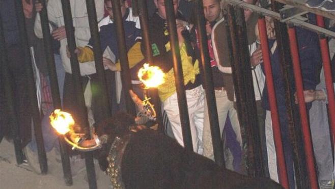 El veto del tripartito al bou embolat tensa el pleno entre las peñas y los antitaurinos