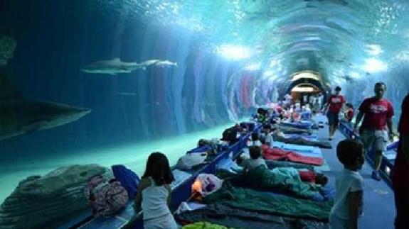 Cinco escuelas de verano en Valencia