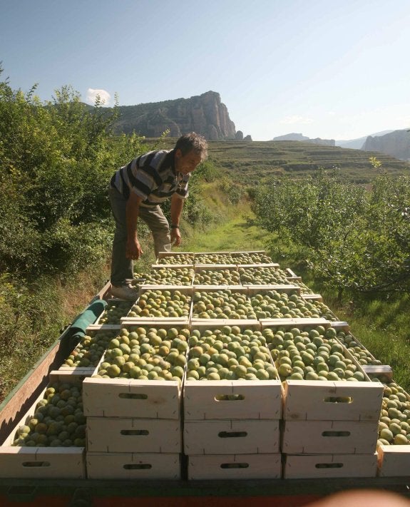 China envía funcionarios a revisar las frutas españolas