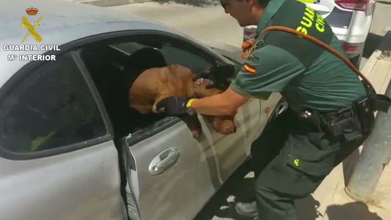 La Guardia Civil rescata a un perro del interior de un vehículo en Aspe