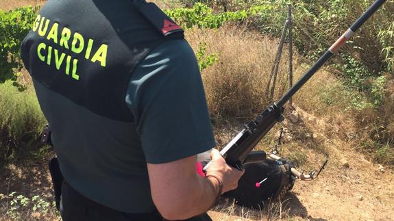 La Guardia Civil inmoviliza un toro con un dardo