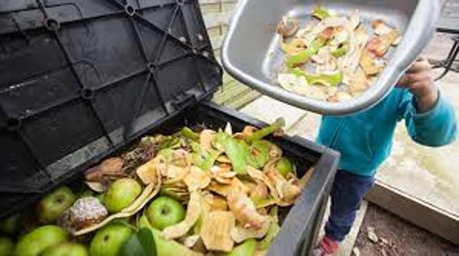 4 impactantes datos sobre el desperdicio de comida en el mundo