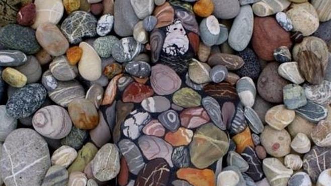 ¿Sabrías decir qué se esconde entre estas piedras?
