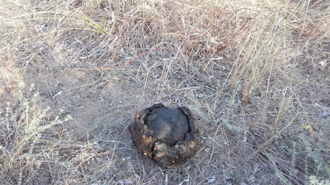 Encuentran una bola de cañón en la playa de Dénia