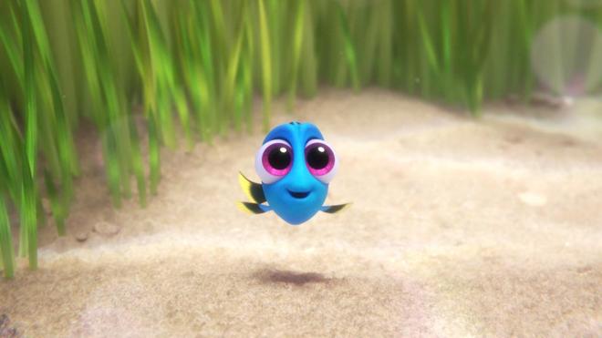 Vivir sin recuerdos, la realidad de la enfermedad de Dory