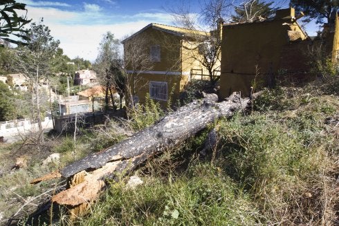 Hogares a prueba de incendio