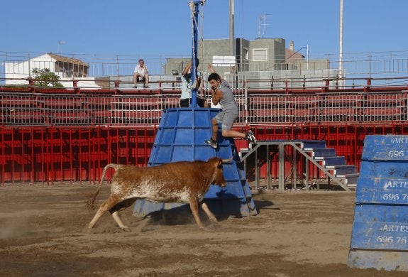 El Consell exigirá a peñas más voluntarios para evitar el acceso de menores a los bous