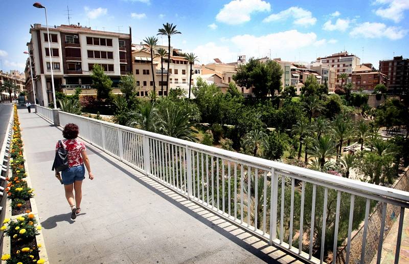 Elche busca al trepador de palmera más rápido del mundo