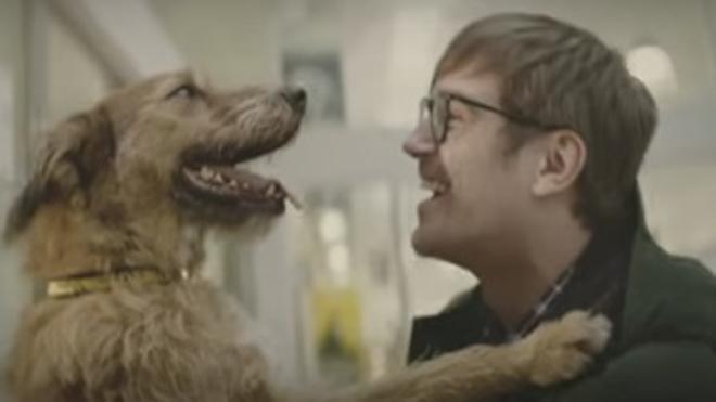 La emotiva campaña que te hará reflexionar sobre la adopción de animales