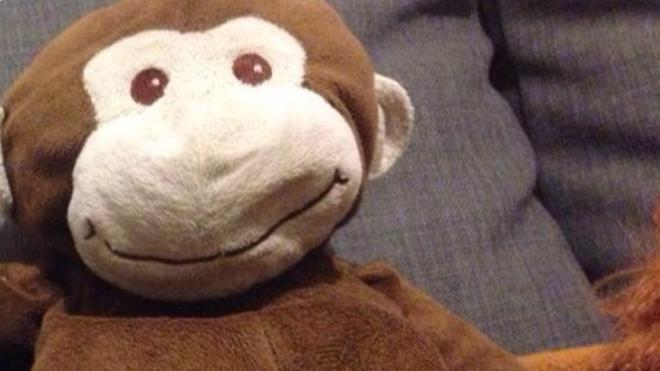 Lila, el osito de peluche perdido que revoluciona Twitter