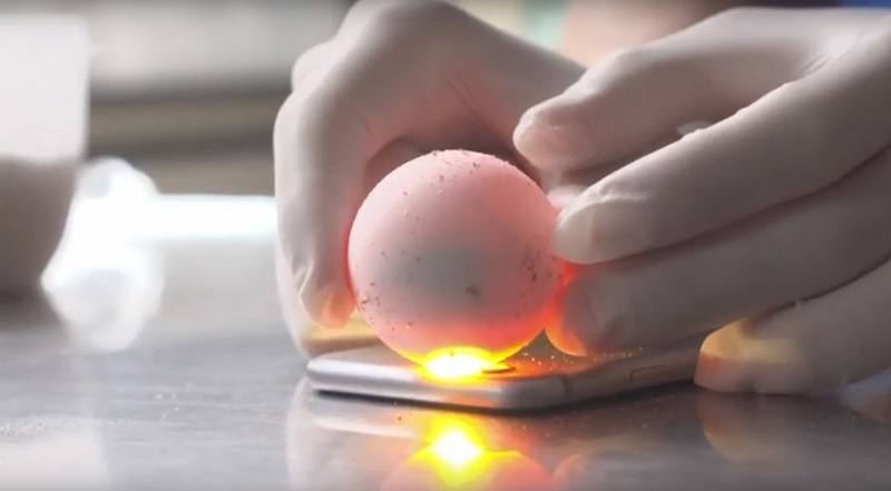 El joven que descubrió a la tortuga boba visita el Oceanogràfic para ver la incubación