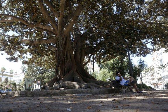 El abandono se adueña de los jardines de la Glorieta y el Parterre