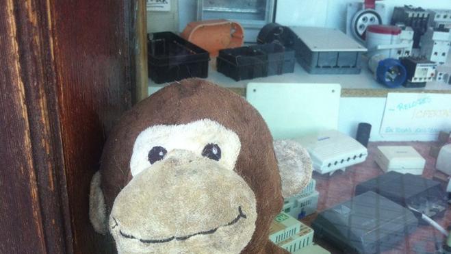 Pau vuelve a dormir con 'Lila', su oso de peluche perdido