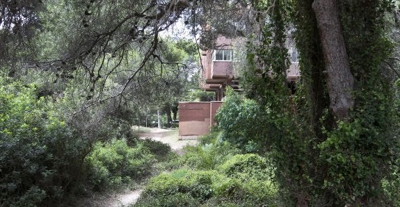 El empleo de la poda como combustible se premiará en la nueva gestión de la Devesa