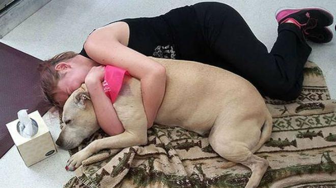 La foto de una mujer abrazando a su perro antes de morir se hace viral