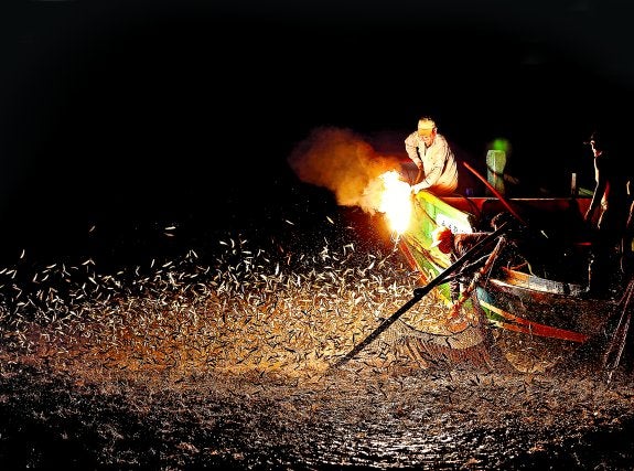 La pesca deslumbrante de Taiwán