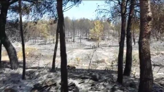 Así queda el corazón de la Marina tras el pavoroso incendio