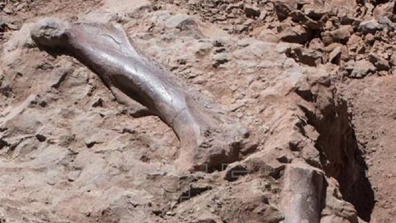 Hallan en Morella restos de un dinosaurio que vivió hace 125 millones de años