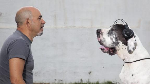 Cómo será el primer concierto para perros en Rafelbunyol