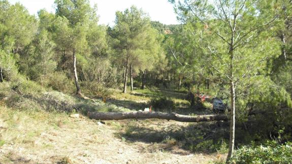 Los municipios del Parque natural del Turia denuncian su abandono y piden medidas urgentes