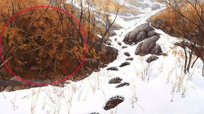 Solución | ¿Dónde se ha escondido el oso?