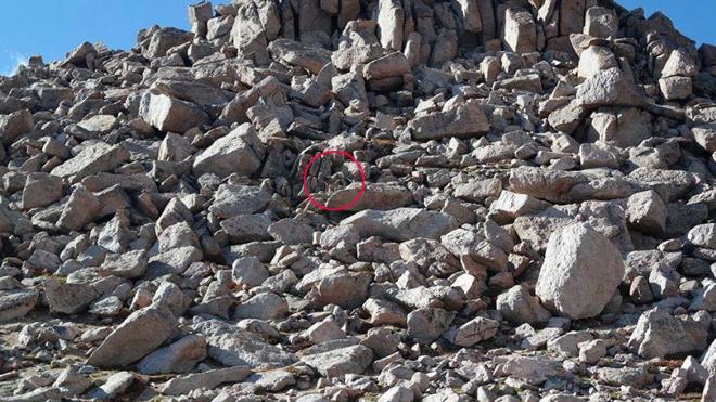 Solución | Hay una oveja escondida entre las rocas, ¿podrías encontrarla?