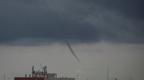 Mangas marinas en Valencia