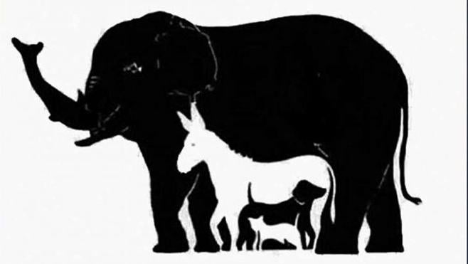 Solución | ¿Cuántos animales ves?