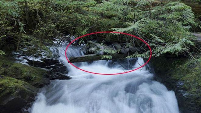 Solución | ¿Puedes encontrar a la mujer escondida en esta fotografía?