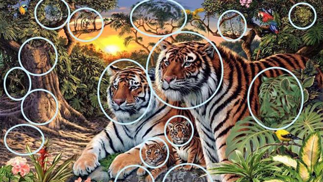 Solución | ¿Cuántos tigres hay en la imagen?