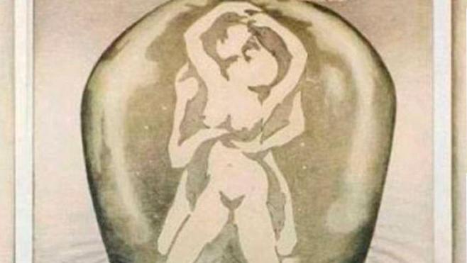 ¿Qué ves en esta imagen?