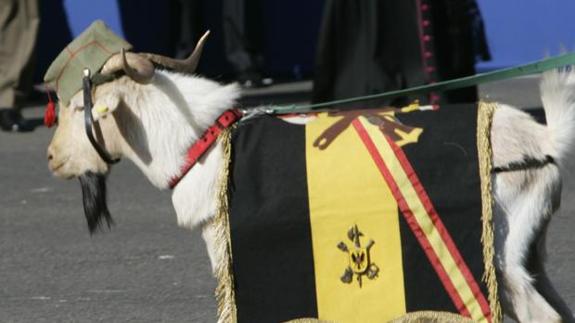 Muere Pepe, la cabra de la Legión que se jubiló este verano