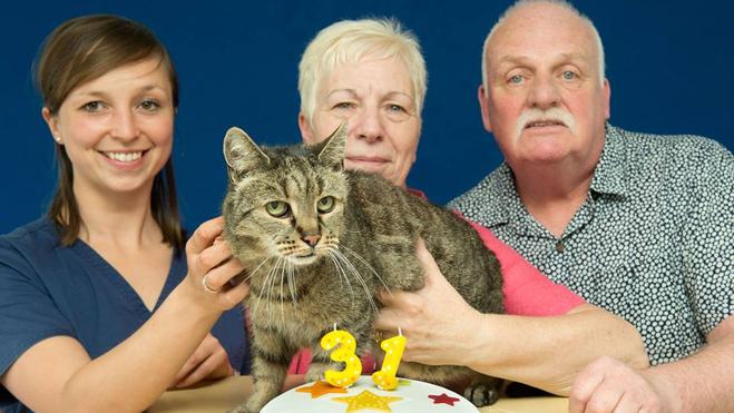 Nutmeg, el gato más viejo del mundo